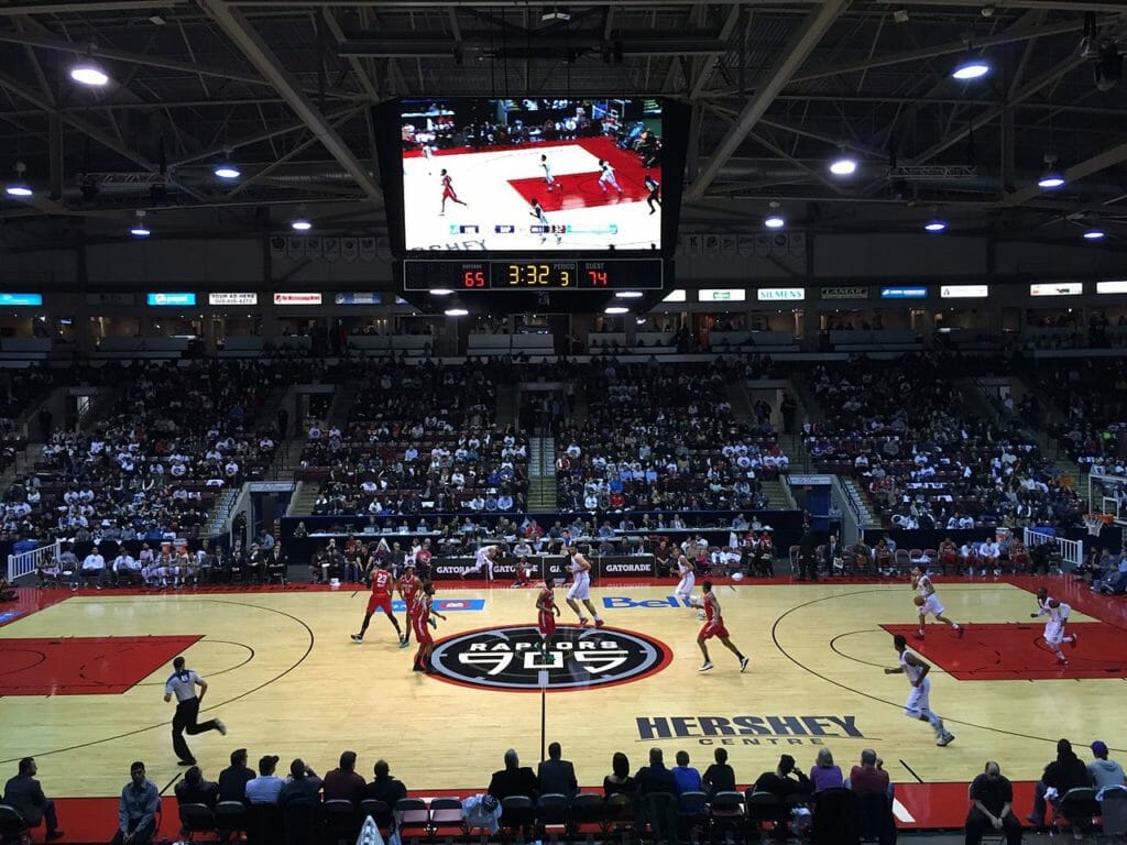 Team Operations Coordinator for the Raptors 905 Tenneya Martin