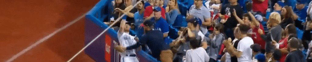 The Blurred Lines of Fan Interference In Baseball