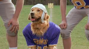 Air Bud Golden Receiver