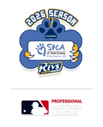 York Revolution logo