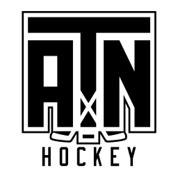 Around The Net Hockey logo