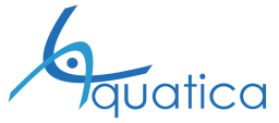 Aquatica Synchro Club logo