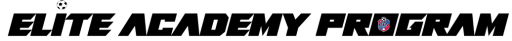 Canada First Academy for Soccer Excellence logo