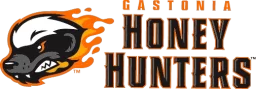 Gastonia Honey Hunters logo