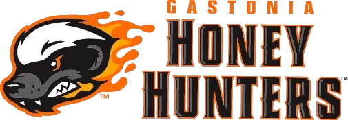 Gastonia Honey Hunters logo