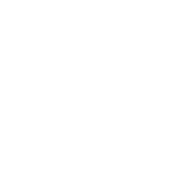Chicago City Soccer logo