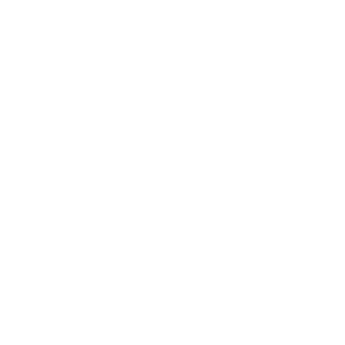 Chicago City Soccer logo