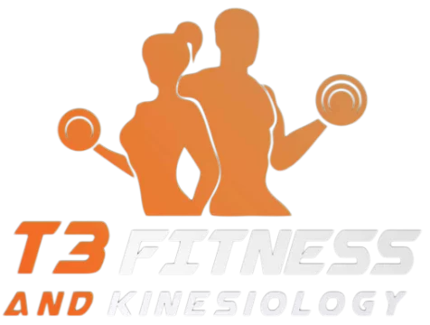 3T3 Fitness logo