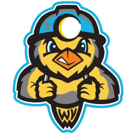 Charleston Dirty Birds logo