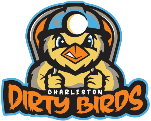 Charleston Dirty Birds logo