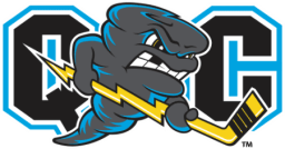 Quad City Storm logo