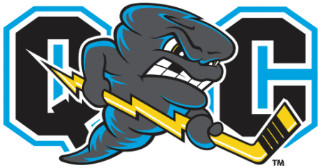 Quad City Storm logo