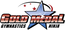 Gold Medal gymnastic logo