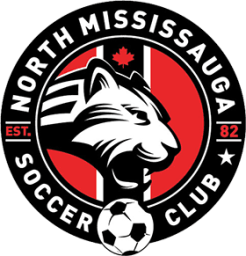 NMSC logo