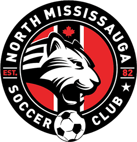 NMSC logo