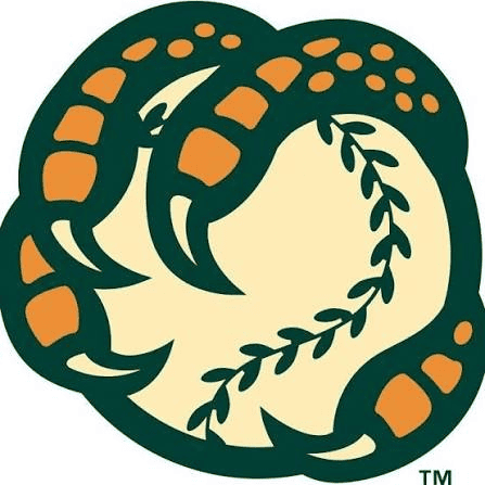 Boise Hawks logo