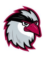 Idaho Falls Chukars logo
