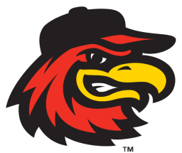 Rochester Red Wings logo