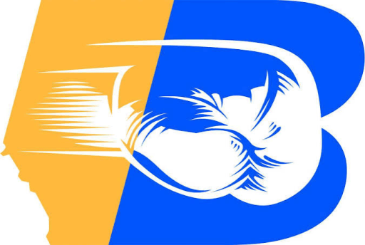 Boxing Alberta logo