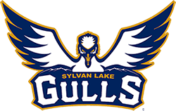 Sylvan Lake Gulls logo