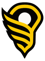 Women's Lacrosse League (WLL) logo