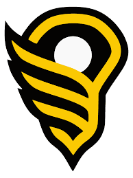 Women's Lacrosse League (WLL) logo