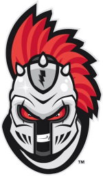 Nashua Silver Knights logo