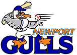 Newport Gulls logo
