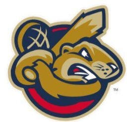 Birmingham Bloomfield Beavers logo