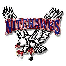 Beaver Valley Nitehawks logo
