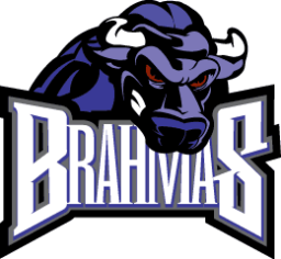 Texas Brahmas logo
