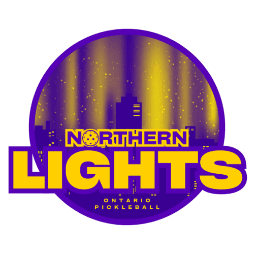 Northern Lights logo