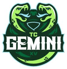 Twin Cities Gemini logo