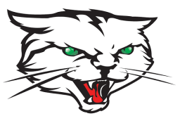 Indianapolis AlleyCats logo
