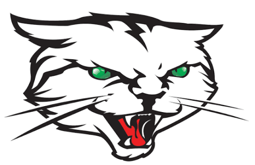 Indianapolis AlleyCats logo