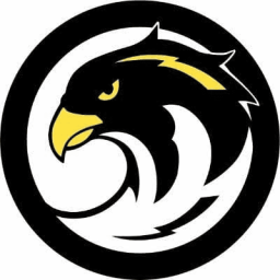 Bay Area Falcons logo