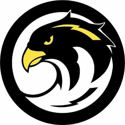 Bay Area Falcons logo