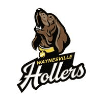 Waynesville Hollers logo