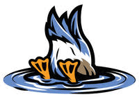 Garden City River Ducks logo