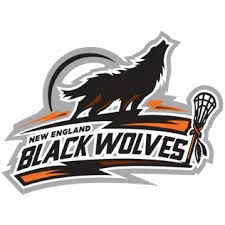Connecticut Sun & New England Black Wolves logo