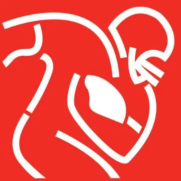 NFL Players Inc. logo