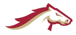 Birmingham Stallions logo