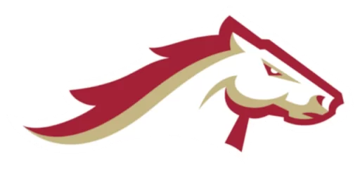 Birmingham Stallions logo