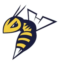 Edmonton Stingers logo