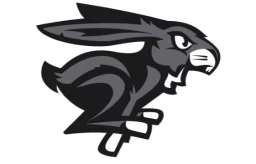 Ottawa BlackJacks logo