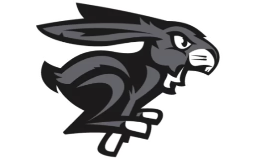 Ottawa BlackJacks logo