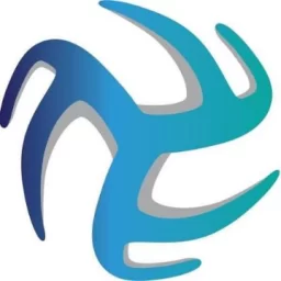 Volleyball NWT logo