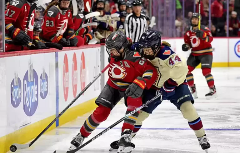 Who owns the PWHL, and who owns its teams?