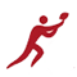 The Sports Mall logo