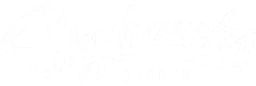 Skyhawks Sports logo